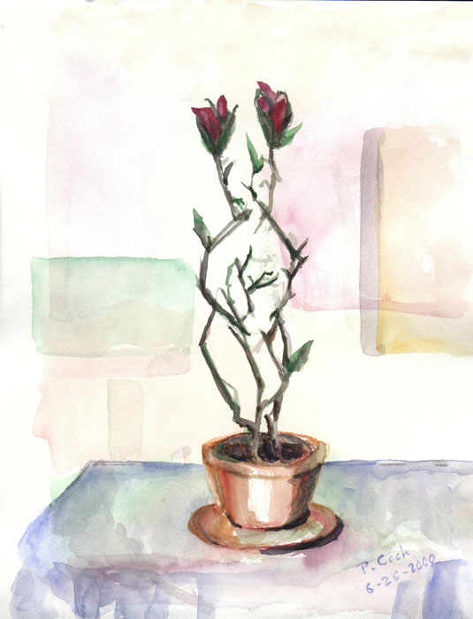 flowerpotnew
