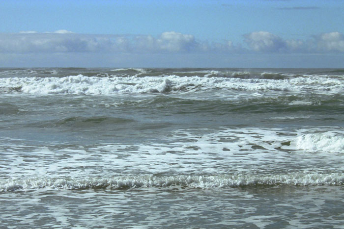 SF Ocean