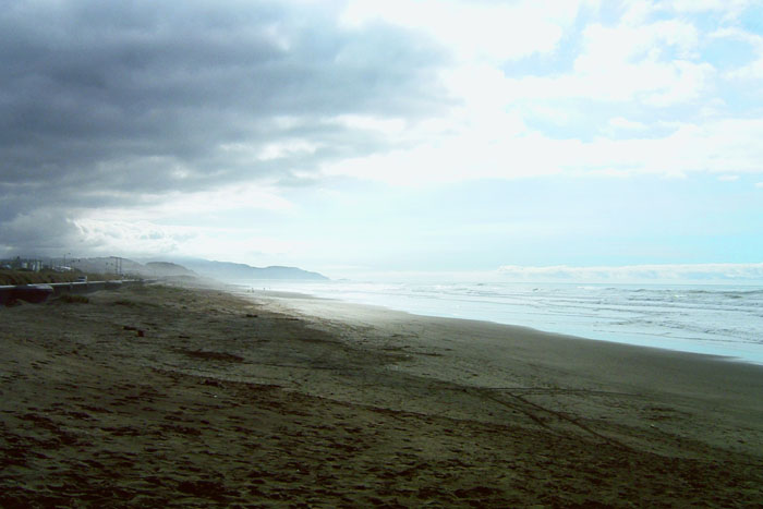 SF Shore